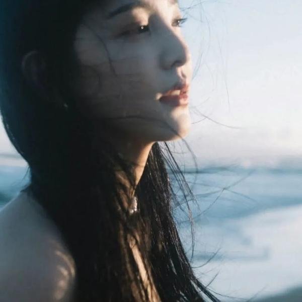 致命访客封面